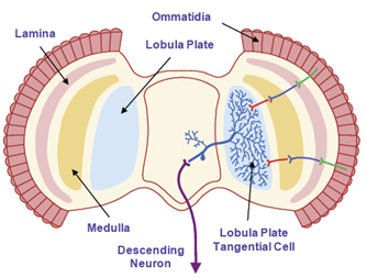 figure2