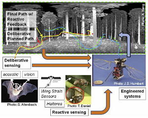 figure1